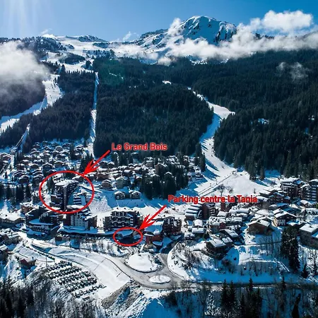 Apartment Location La Tania : 2 Pieces, 4 Pers, Balcon, Proche Commerces Et Navettes - Fr-1-182a-22