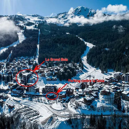 Location La Tania : 2 Pièces, 4 Pers, Balcon, Proche Commerces Et Navettes - Fr-1-182a-22 Appartamento Courchevel