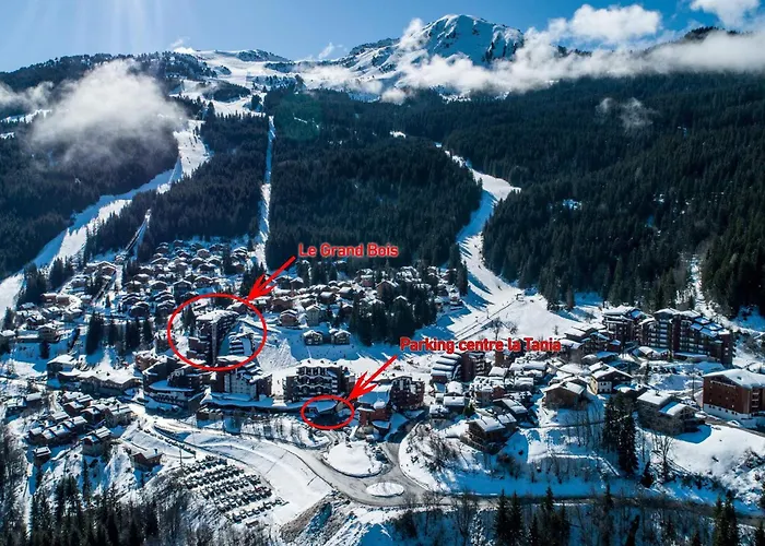 Confortable 2 Pieces, Skis Aux Pieds, Proche Commerces - Fr-1-182a-22