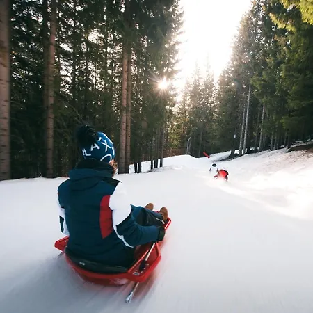 Confortable 2 Pieces, Skis Aux Pieds, Proche Commerces - Fr-1-182a-22 Apartment *