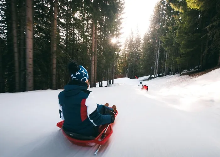 Confortable 2 Pieces, Skis Aux Pieds, Proche Commerces - Fr-1-182a-22 *